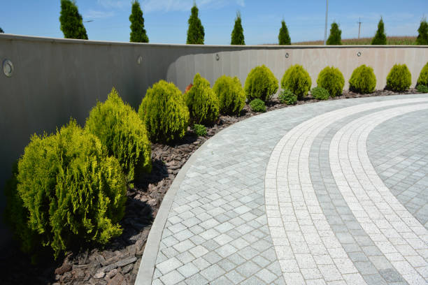 Best Decorative Driveway Pavers  in Albion, NE