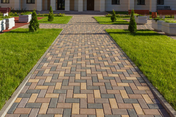 Best Driveway Repair Near Me  in Albion, NE